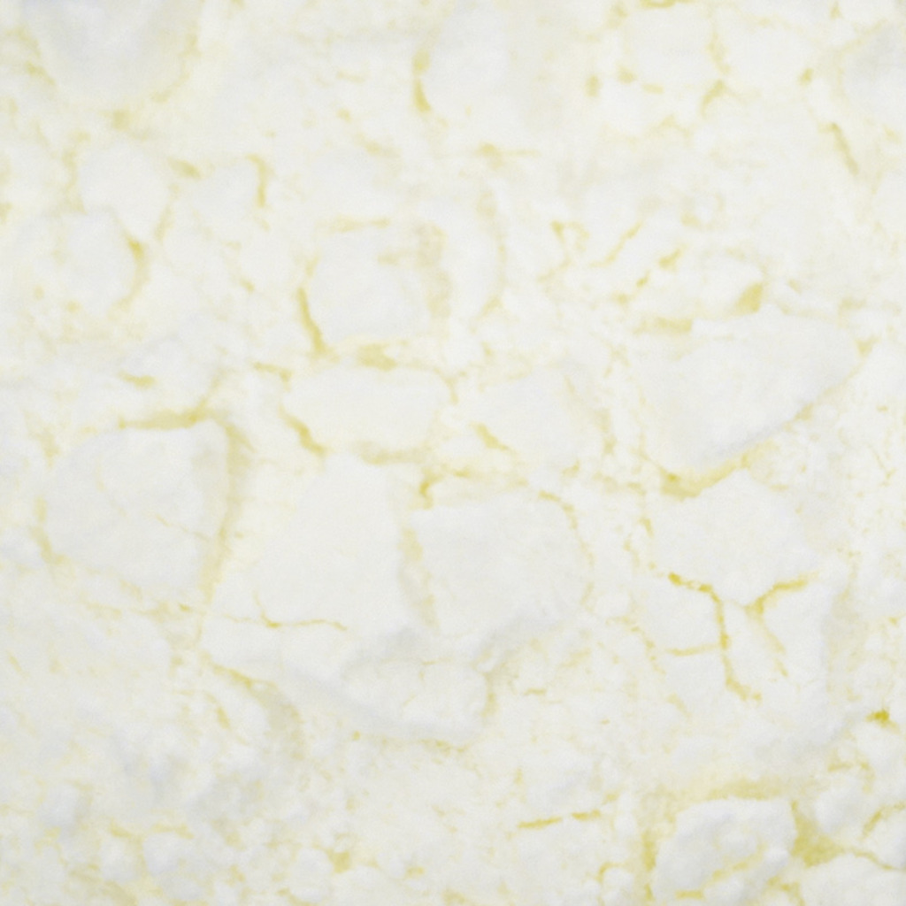 MASCARPONE EN POLVO 90g 2